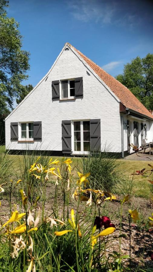 Villa 'T Zeehuysje De Panne Bagian luar foto